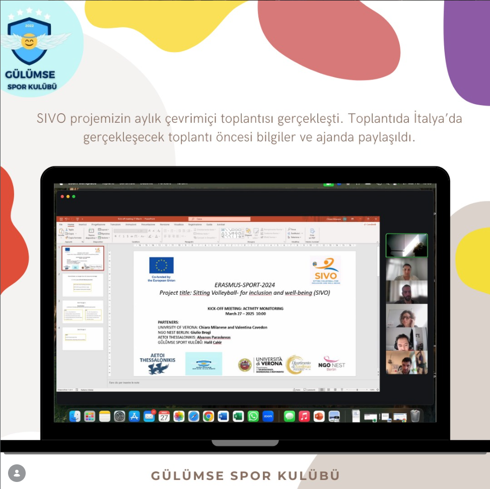Monthly online meeting of the SIVO project was held